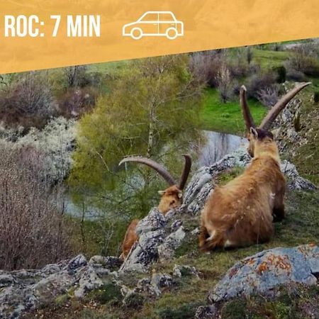 Апартаменты Au Pied Des Cols Et Des Stations Сен-Мишель-де-Морьен Экстерьер фото